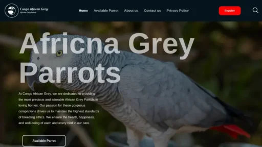 Scam Website Screenshot Congoafricangrey.shop