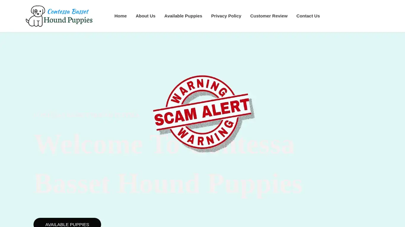 is Contessa Basset Hound Puppies legit? screenshot