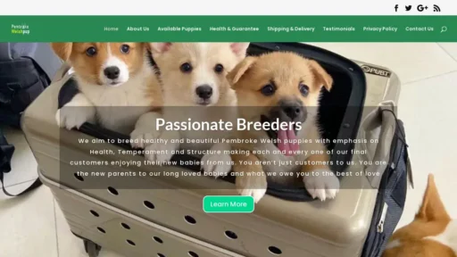 Scam Website Screenshot Corgihomes.top