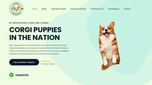 Scam Website Screenshot Corgiwonders.com