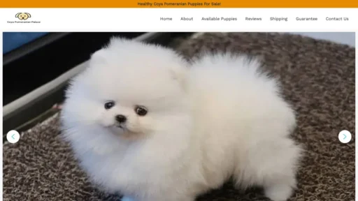 Scam Website Screenshot Coyapomeranianpalace.com