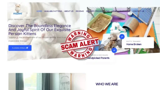 Scam Website Screenshot Cozypersiankittens.com