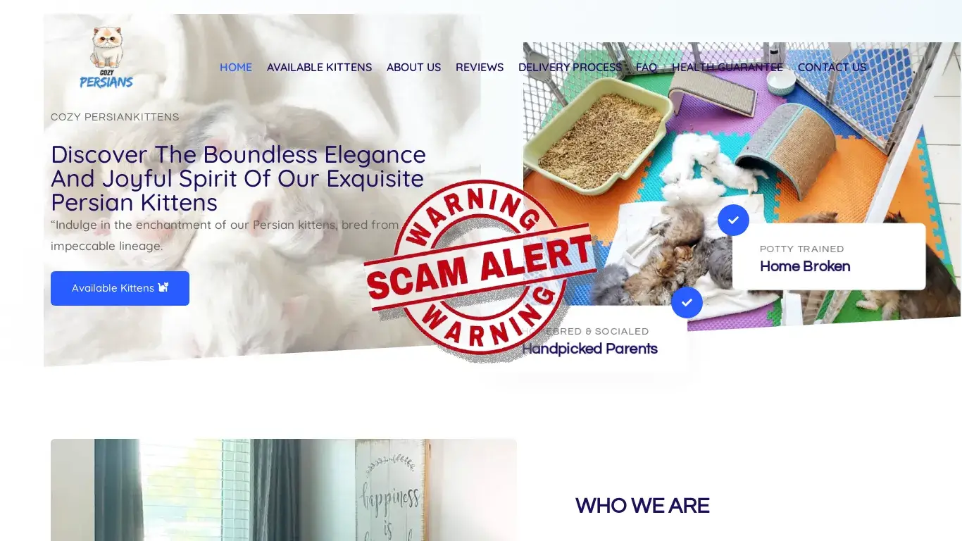 is Cozy Persian Kittens – Cozy Persian Kittens legit? screenshot