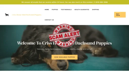 Scam Website Screenshot Crisshomeminidachshundpuppies.com