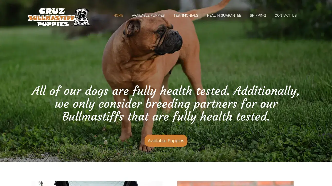 is Welcome - Cruz Bullmastiff Puppies legit? screenshot