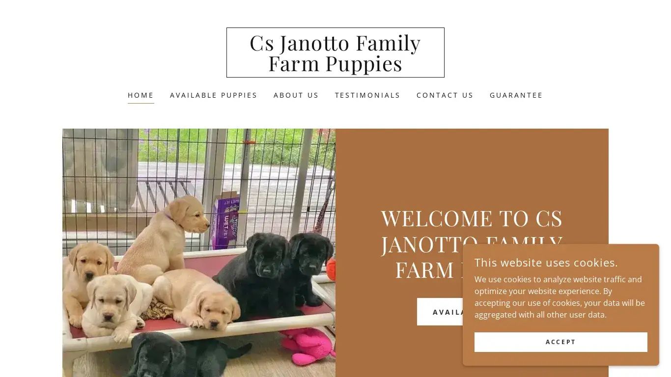 is csjanottofamilyfarmpuppies legit? screenshot