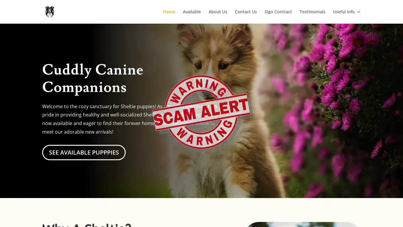 is Cuddly Canine Companions | legit? screenshot