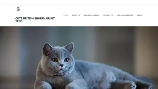 Scam Website Screenshot Cutebritishshorthairkittens.com