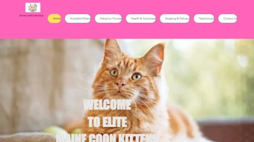 Scam Website Screenshot Cutemainecoonqueensforsale.com