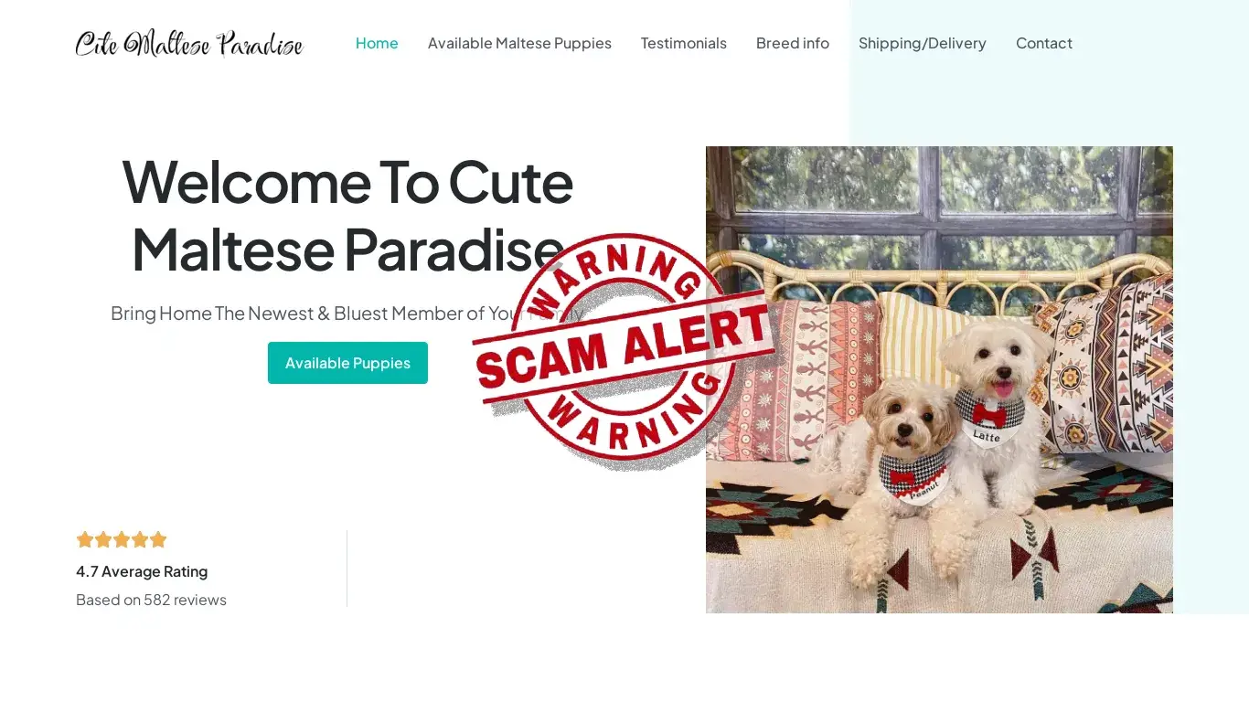 Scam Website Screenshot Cutemalteseparadise.com
