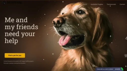 Scam Website Screenshot Cutepuppyzhome.com