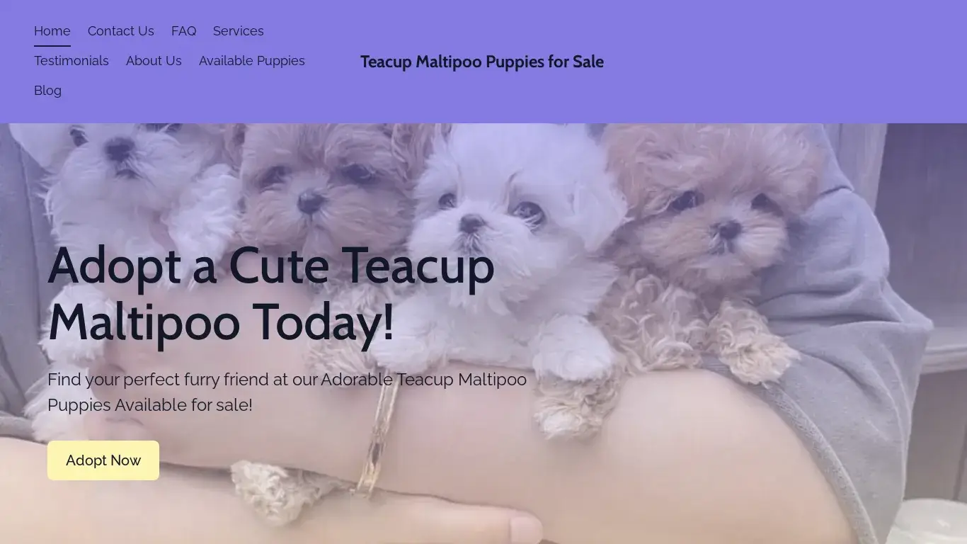 is Find Your Perfect Furry Friend | Teacup Maltipoo Puppies for Sale legit? screenshot