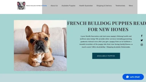 Scam Website Screenshot Cutiesfrenchbulldogsforsale.com