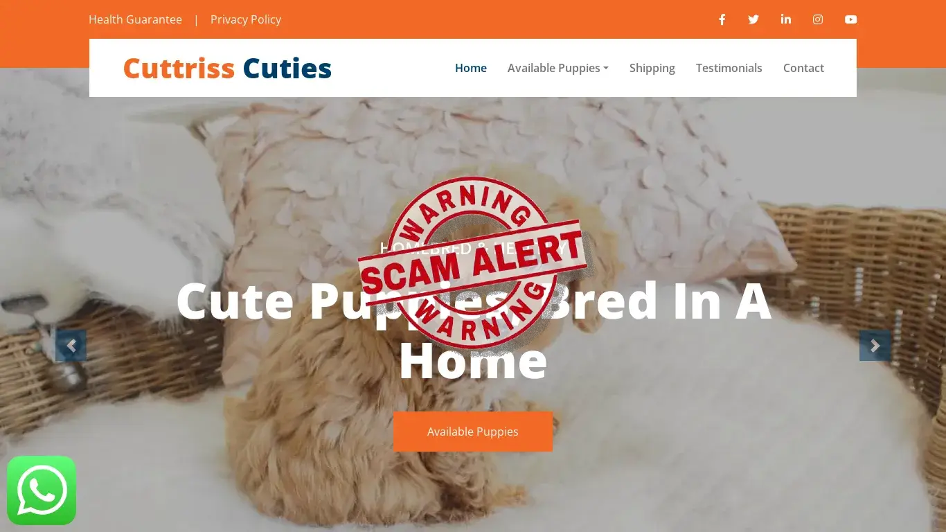 is Cuttriss Cuties - Homebred Cute Puppies For Sale legit? screenshot