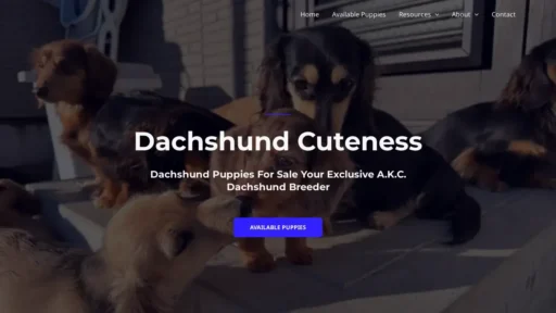 Scam Website Screenshot Dachshundcuteness.shop
