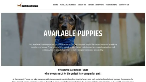 Scam Website Screenshot Dachshundfuture.com
