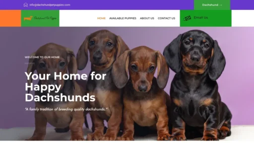 Scam Website Screenshot Dachshundpetpuppies.com