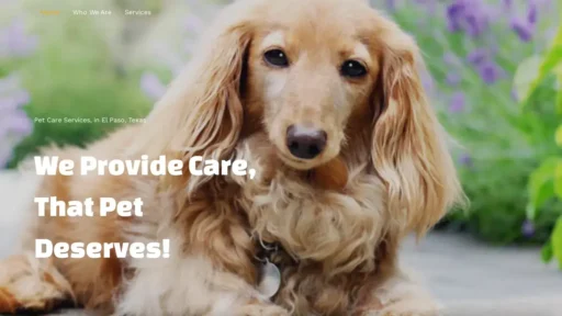 Scam Website Screenshot Dachshundpuppies.shop