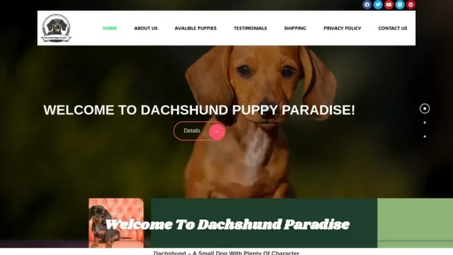 Scam Website Screenshot Dachshundpuppyparadise.com