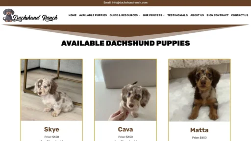 Scam Website Screenshot Dachshundranch.com