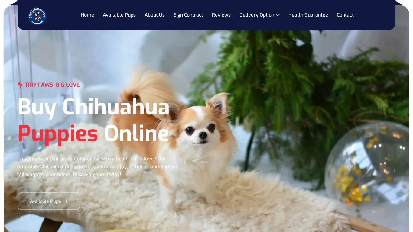 is Daily Chihuahua Pups – Pups for sale online legit? screenshot