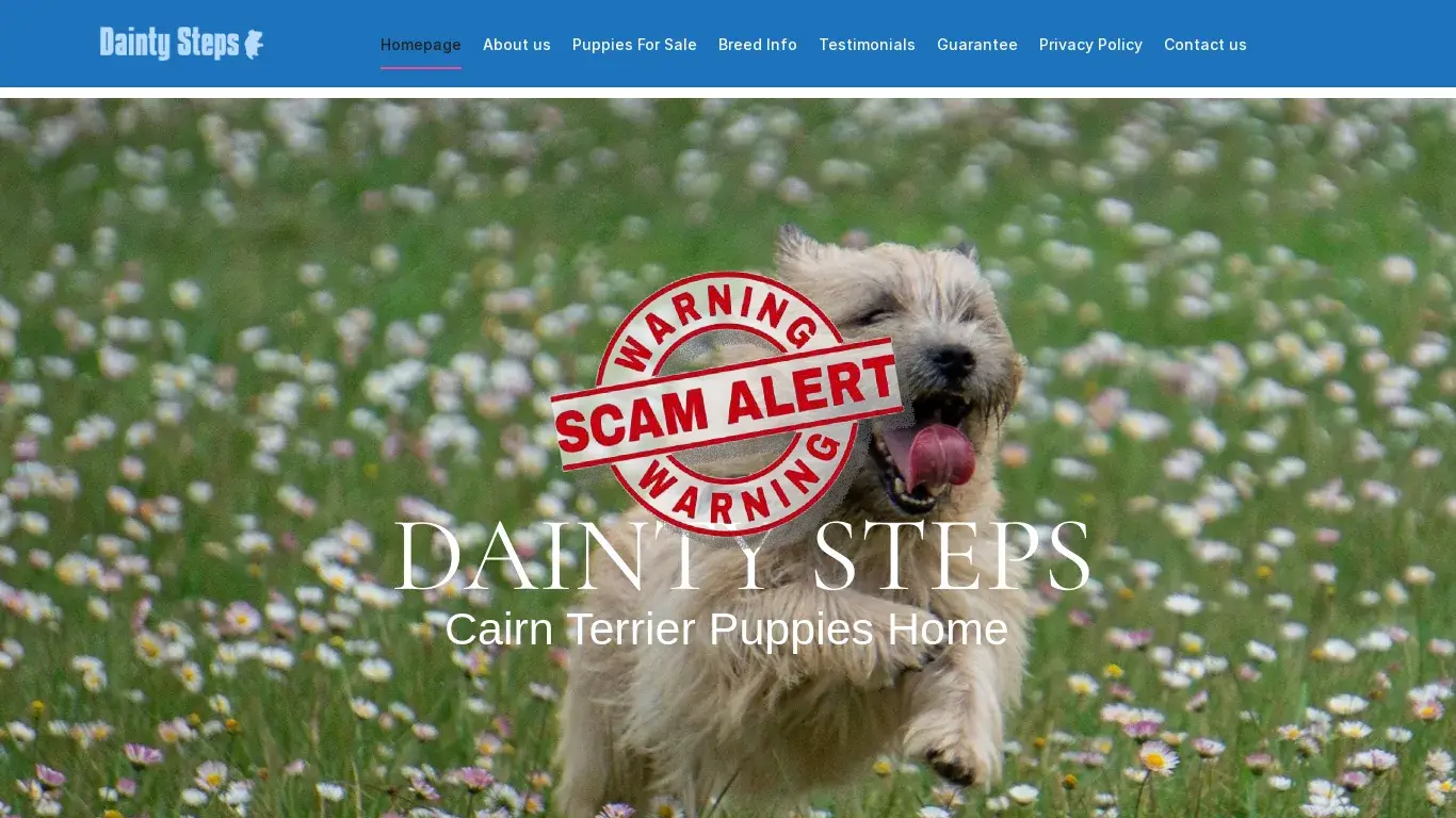 is Homepage – Dainty Steps legit? screenshot