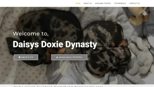 Scam Website Screenshot Daisysdoxiedynasty.com