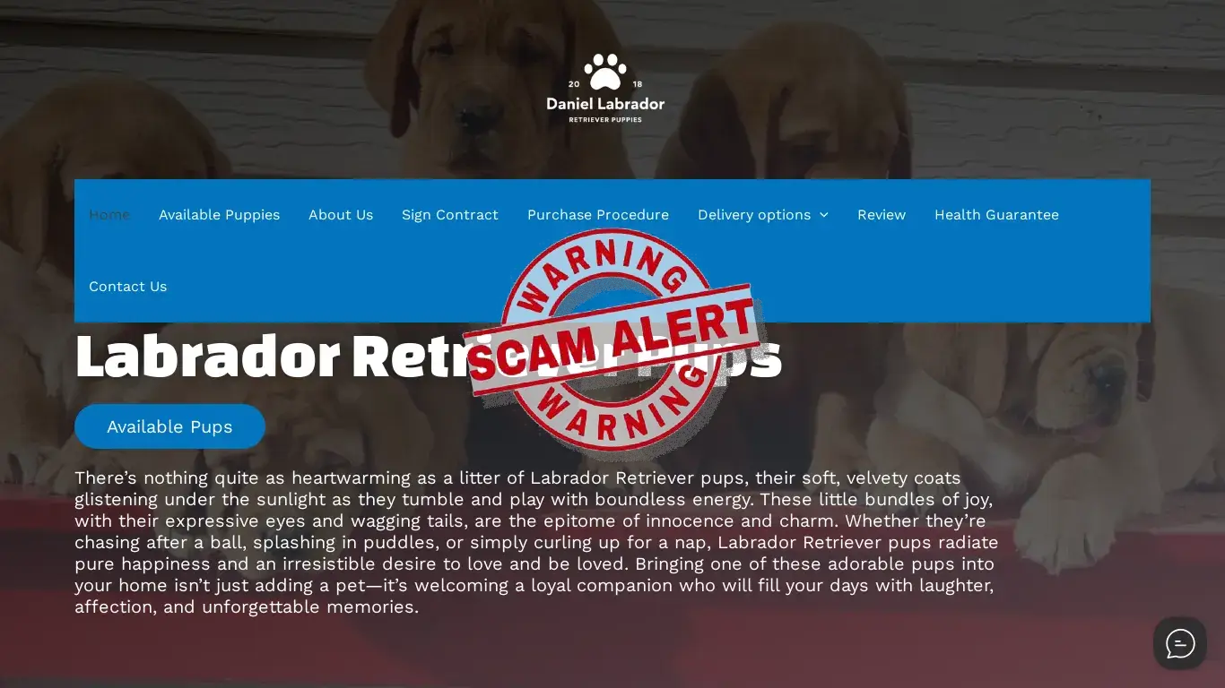 is Daniel Labrador Retriever – Pups for sale legit? screenshot
