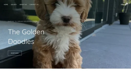 Scam Website Screenshot Daringtodreamgoldendoodles.online