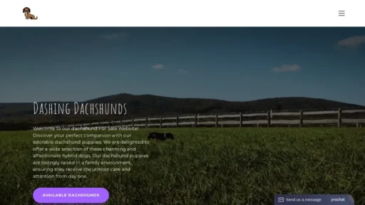 Scam Website Screenshot Dashindachshunds.com