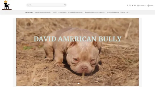 Scam Website Screenshot Davidamericanbully.com
