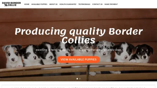 Scam Website Screenshot Davidbordercollie.com