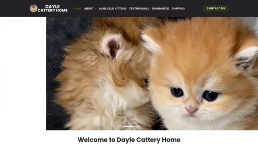 Scam Website Screenshot Daylecatteryhome.com