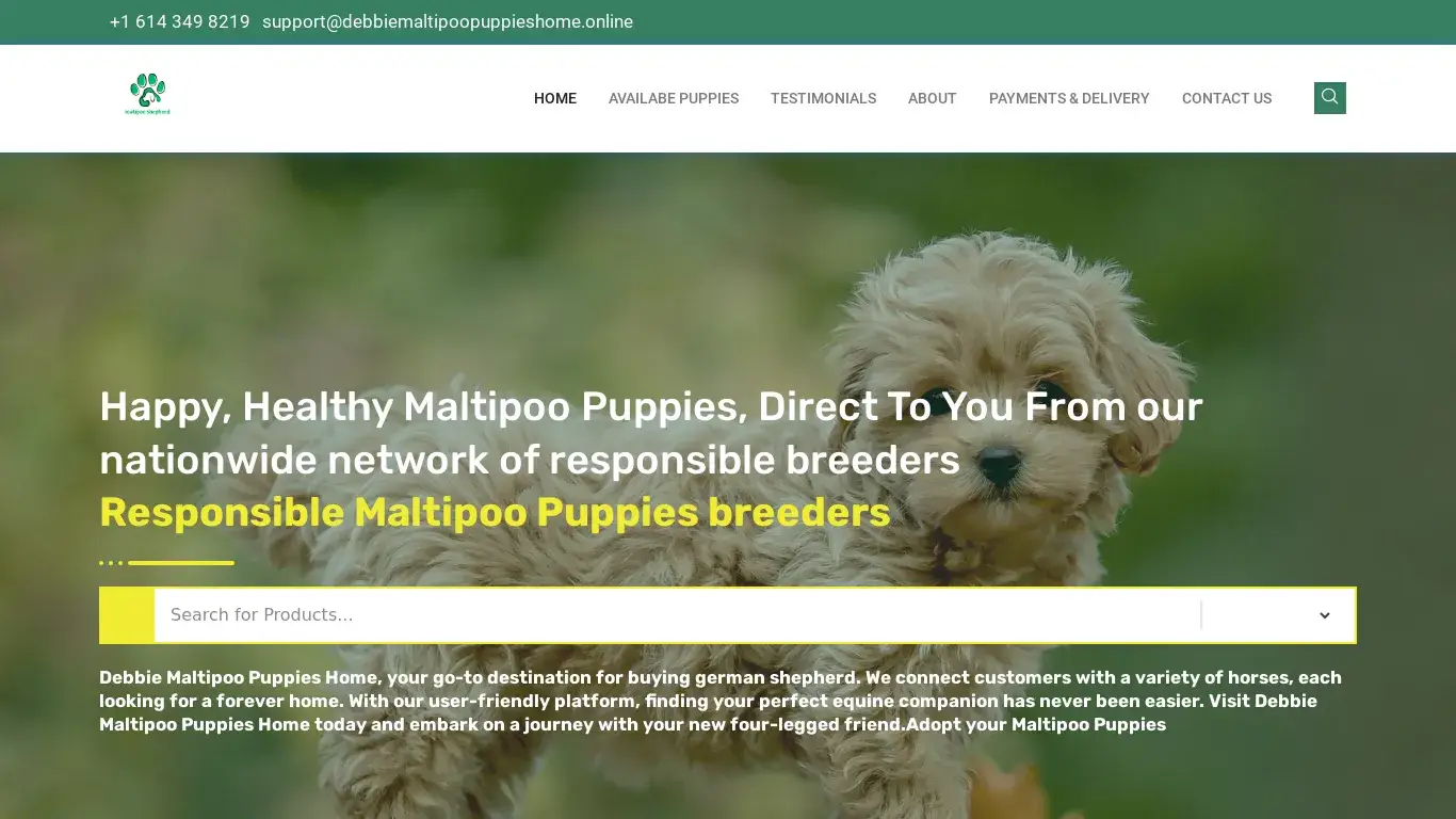 is Home - Debbie Matipoo Puppies Home legit? screenshot