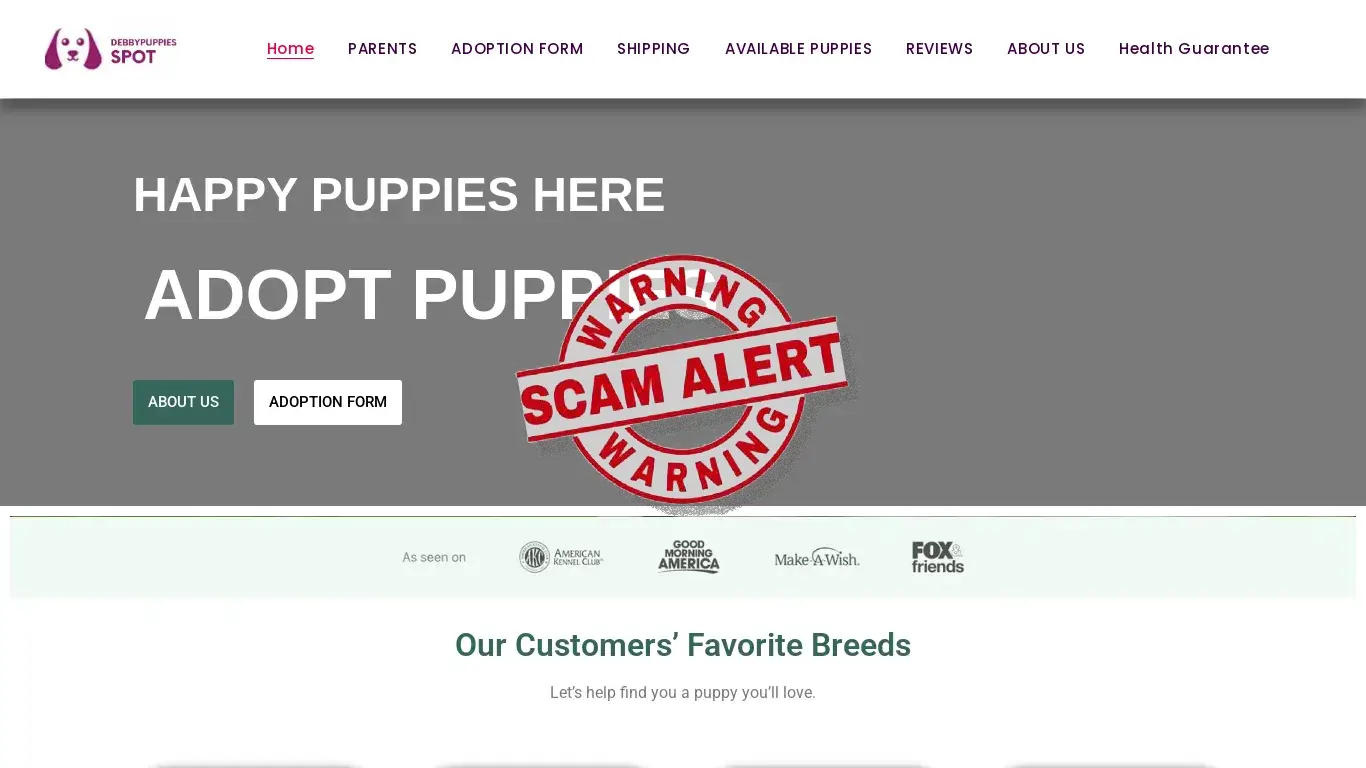 is Home - debbyteacuppuppyspot.com legit? screenshot