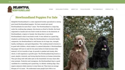 Scam Website Screenshot Delightfulnewfoundland.com