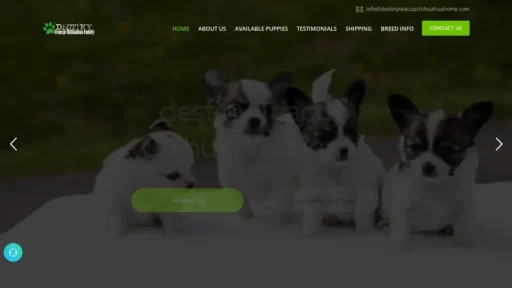 Scam Website Screenshot Destinyteacupchihuahuahome.com