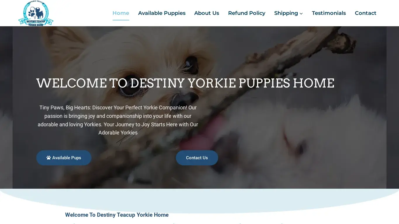 is Destiny Teacup Yorkie Home – Teacup Yorkie Breeders legit? screenshot