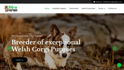 Scam Website Screenshot Divacorgipuppies.com