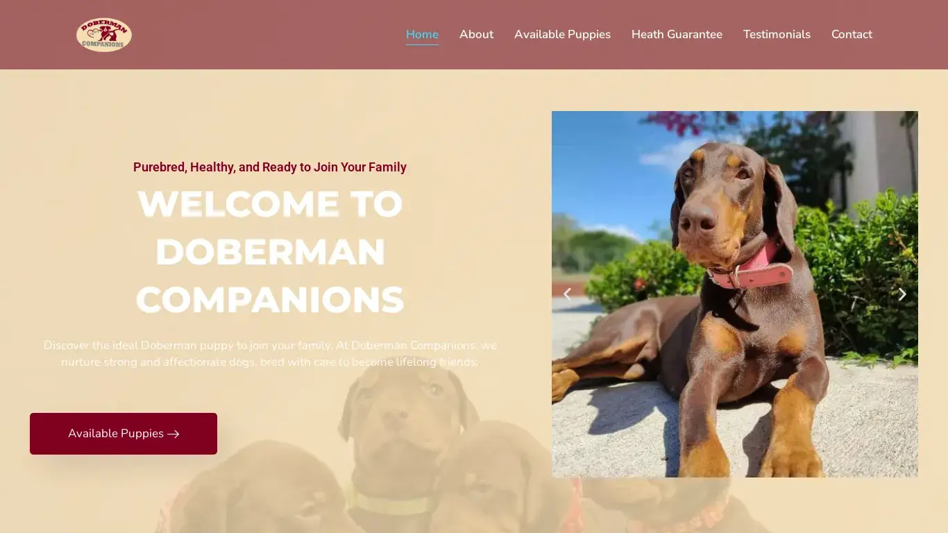 is Buy Doberman Puppies USA- Doberman Companions legit? screenshot