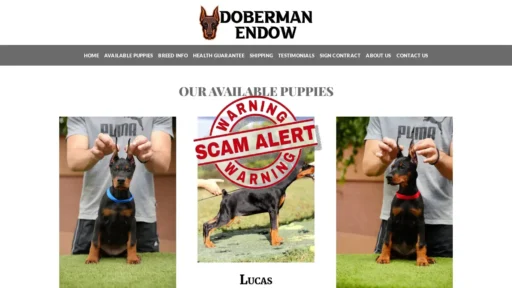 Scam Website Screenshot Dobermanendow.com
