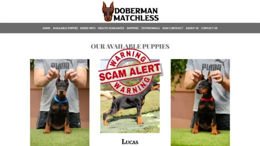 Scam Website Screenshot Dobermanmatchless.com