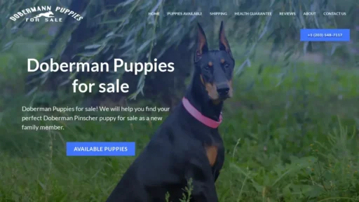 Scam Website Screenshot Dobermannpuppiesforsale.website