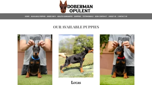 Scam Website Screenshot Dobermanopulent.com