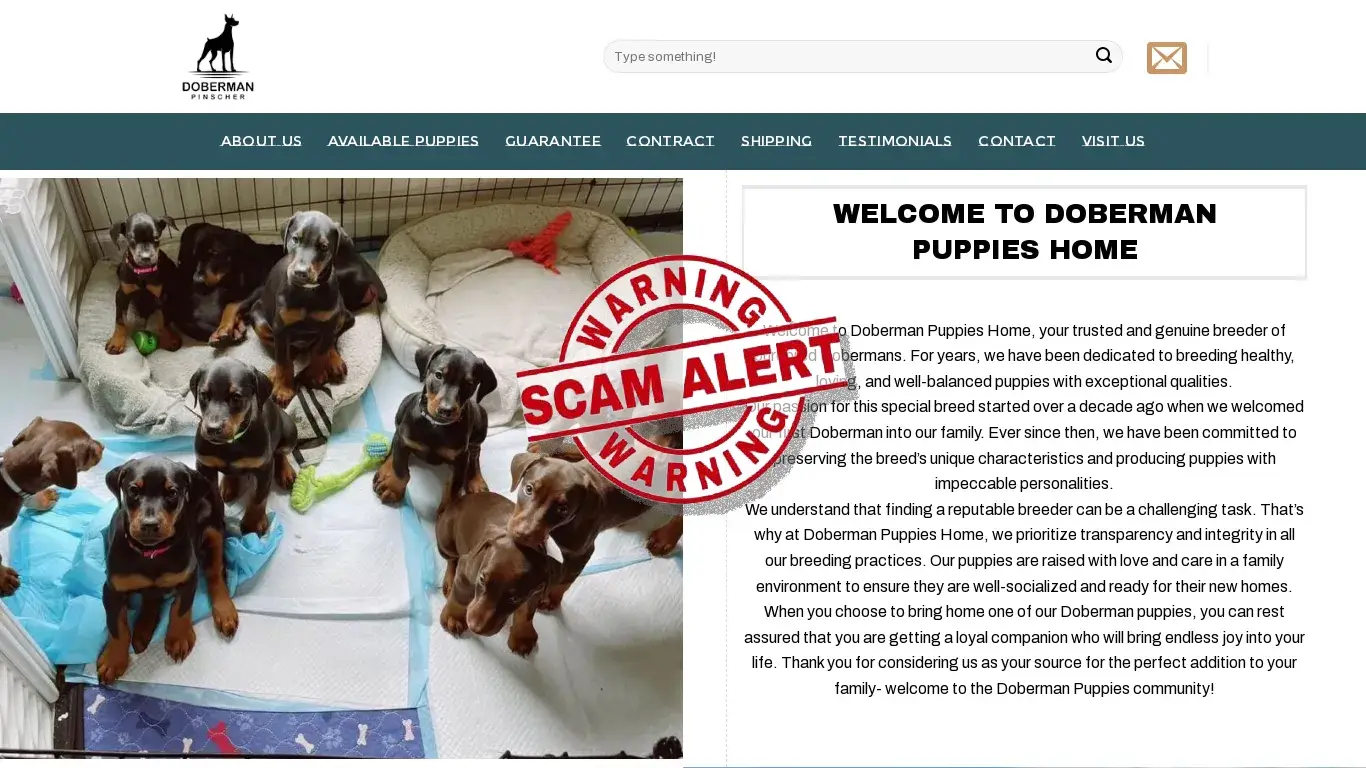 is Puppies for adoption | Puppies for sale | Adopt a puppy legit? screenshot