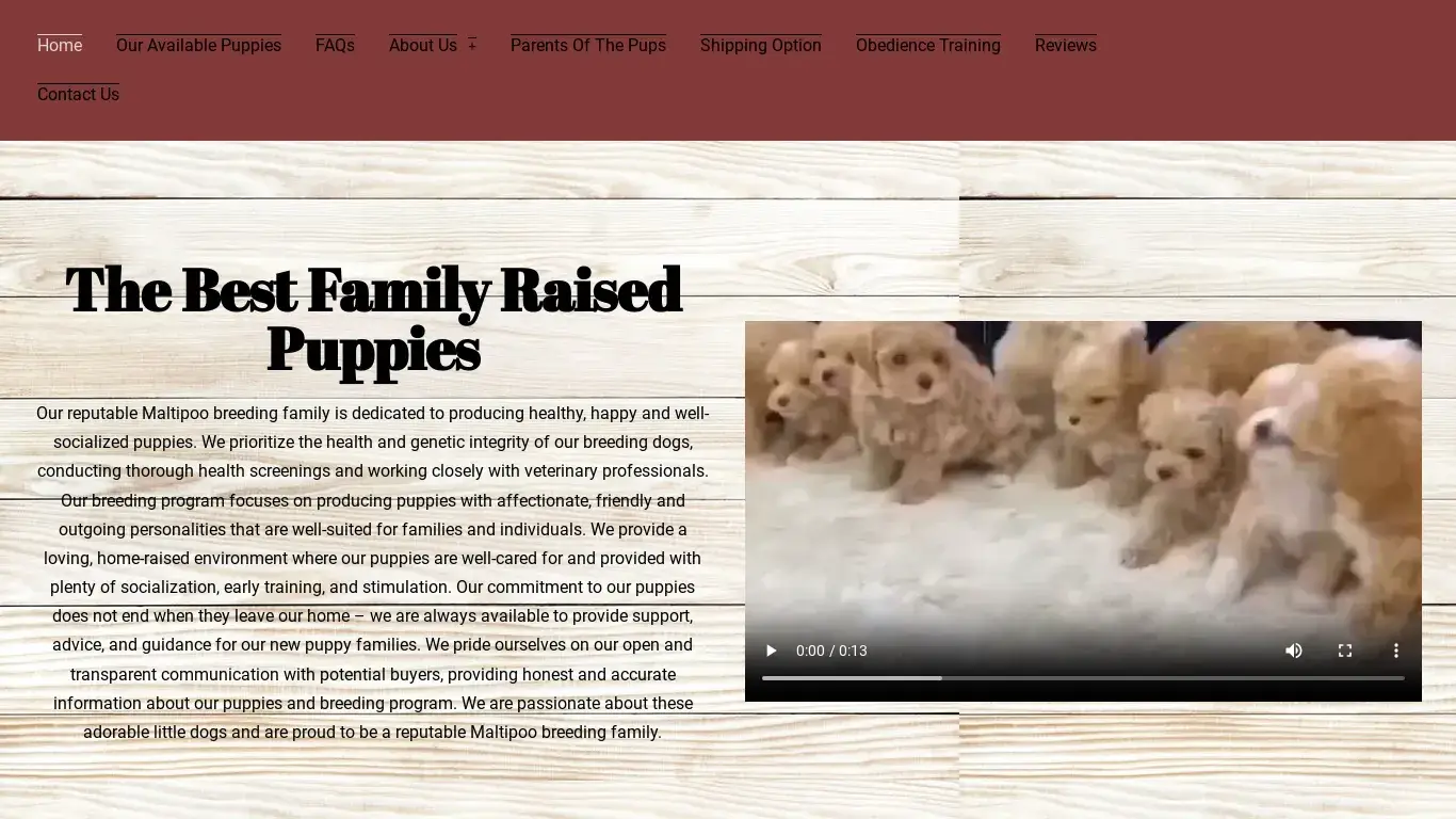 is Maltipoo Doggy Heaven – Maltipoo Puppies For Sale legit? screenshot
