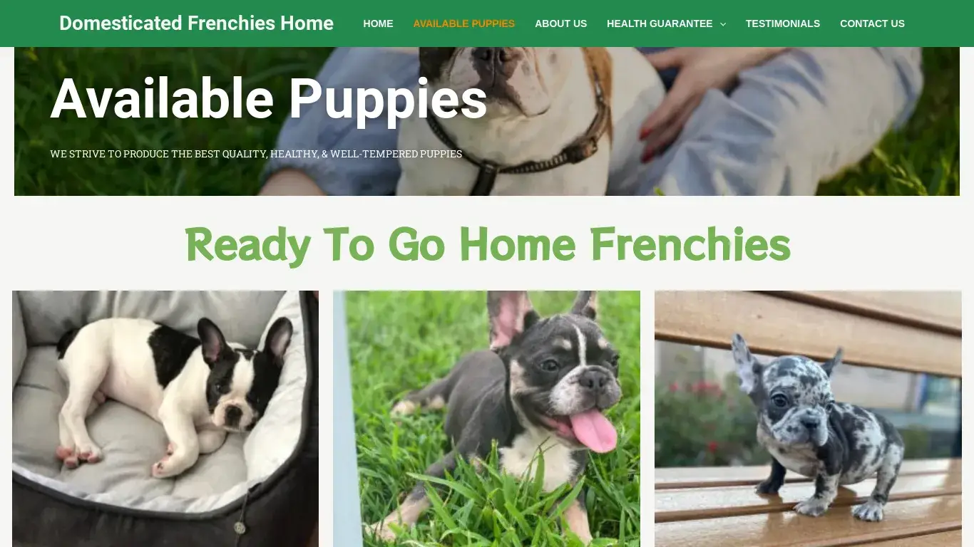 is Domesticated Frenchies Home legit? screenshot