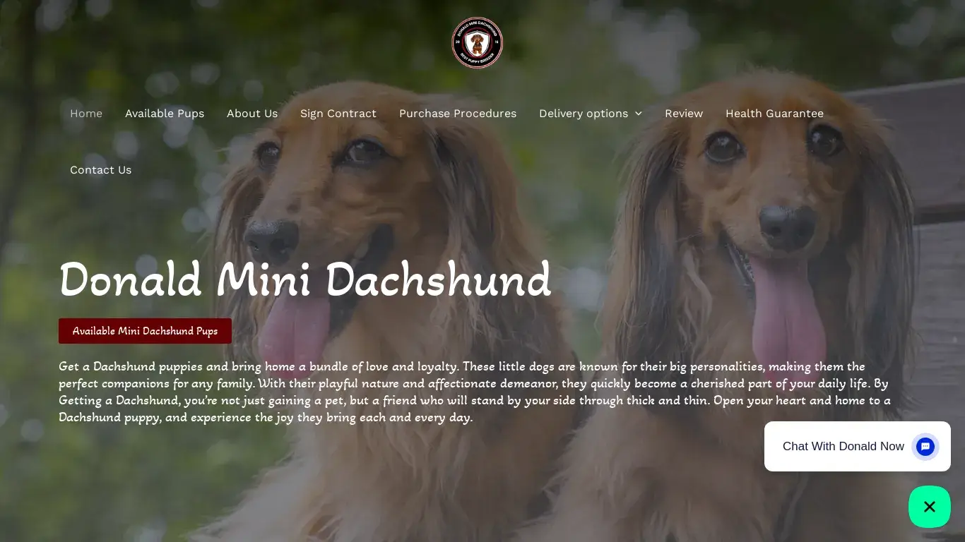 is Donald Mini Dachshund – Puppies for sale legit? screenshot