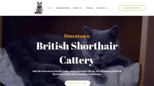 Scam Website Screenshot Downtownbritishkittens.com