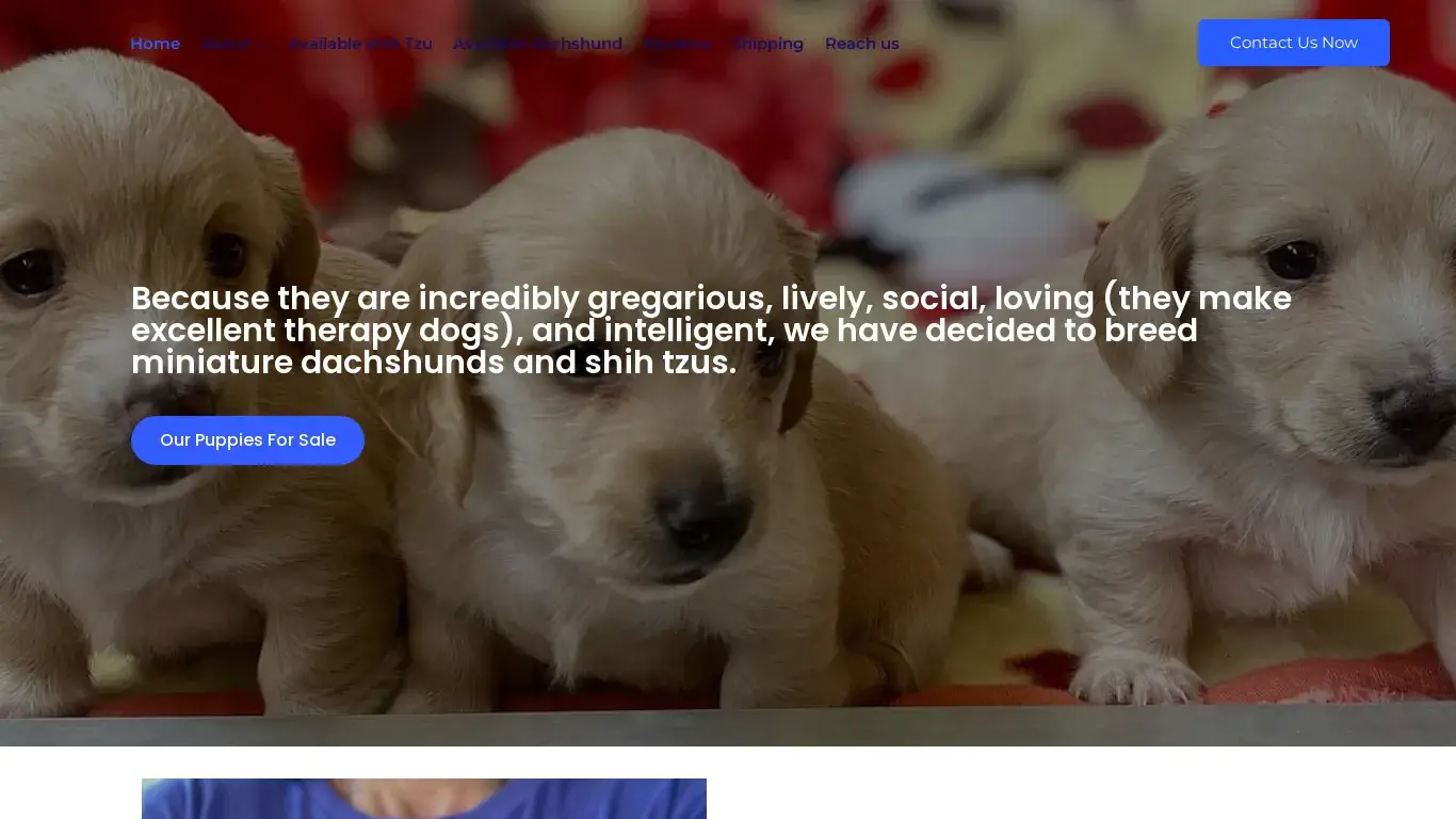 is Doxieminaturedachsundsandshihtshu – Doxieminaturedachsundsandshihtshu legit? screenshot